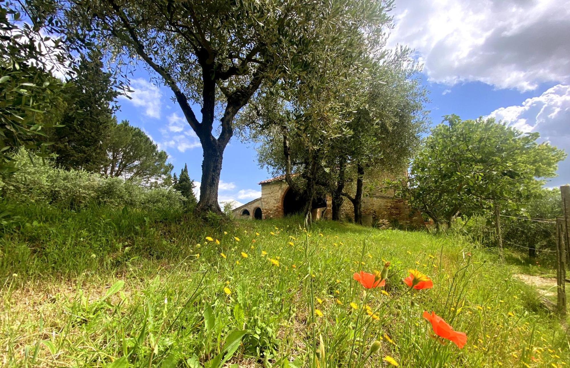 La Tonnaia Apartment Lari Bagian luar foto