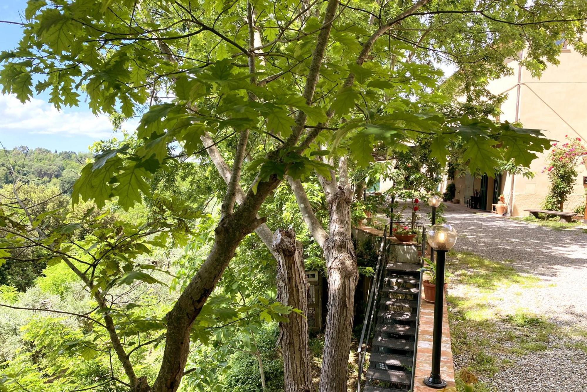 La Tonnaia Apartment Lari Bagian luar foto